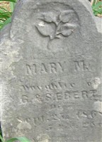Mary M Ebert