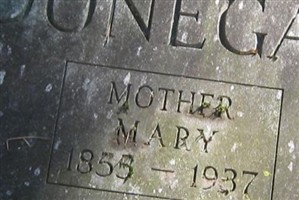 Mary M Frawley Donegan Mary M Frawley Donegan