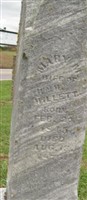 Mary M Willett