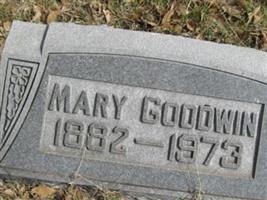 Mary Madeline Davis Goodwin
