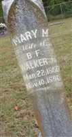 Mary Magdalene Frost Walker Mary Magdalene Frost Walker