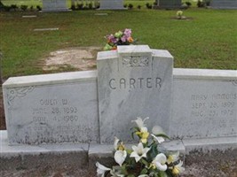 Mary Magdaline Ammons Carter
