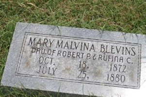 Mary Malvina Blevins (1919017.jpg)