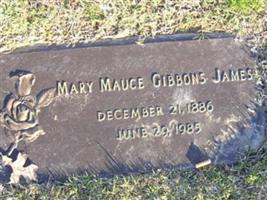 Mary Mauce Gibbons James