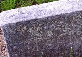 Mary McNamara Shaw Mary McNamara Shaw