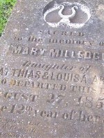 Mary Milledge Ardis