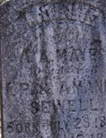 Mary Mollie Sewell Mayes