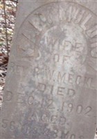 Mary Muldrow Mecklin