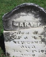 Mary Newcomb