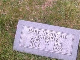 Mary Newdigate Schwartz