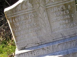Mary Nivens Manes (2384230.jpg) Mary Nivens Manes (2384230.jpg)