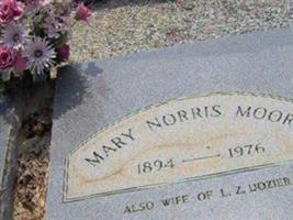 Mary Norris Moore