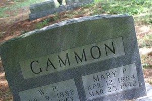 Mary P Gammon Mary P Gammon
