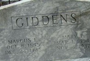 Mary P Giddens