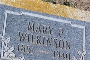 Mary P Wilkinson