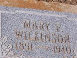 Mary P Wilkinson