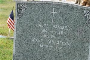 Mary Paraszczuk Hammer