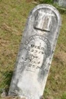 Mary Polly Carrick McCleskey