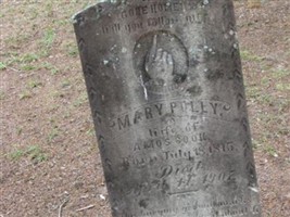 Mary Polly Faile Cook