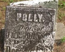 Mary "Polly" Johnson Mary "Polly" Johnson