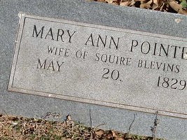 Mary Ann "Polly" Pointer Blevins Mary Ann "Polly" Pointer Blevins