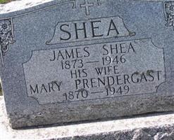 Mary Prendergast Shea