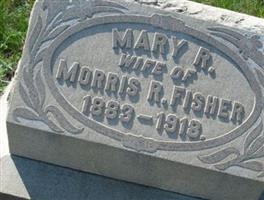Mary R Fisher