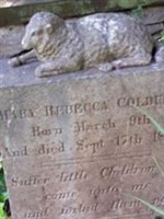Mary Rebecca Colburn
