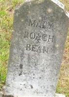 Mary Roach Bean