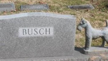 Mary S Busch