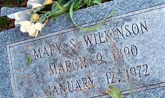 Mary S Wilkinson