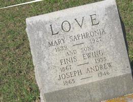 Mary Saphronia Love