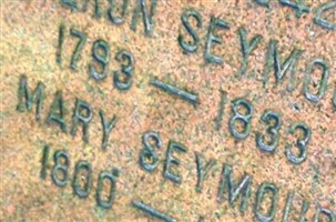Mary Seymour Mary Seymour