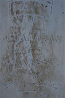 Mary Shanahan (2406277.jpg)