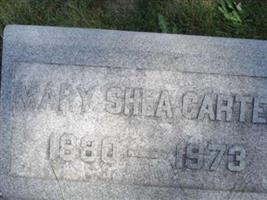 Mary Shea Carter
