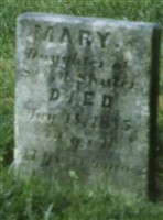 Mary Shuler