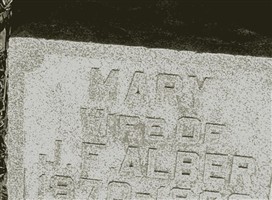 Mary Springman Alber Mary Springman Alber