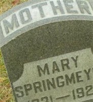 Mary Springmeyer Mary Springmeyer