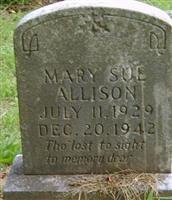 Mary Sue Allison