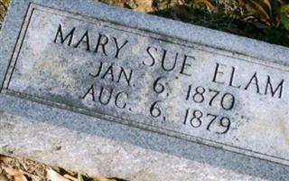 Mary Sue Elam
