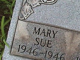 Mary Sue Stapleton