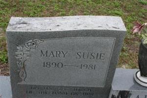 Mary Susan Langston Martin