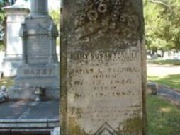 Mary Susan Long Terrill