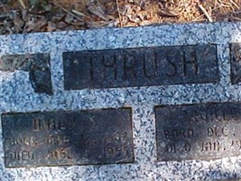 Mary Susan Thrush