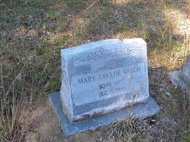Mary Taylor Welch