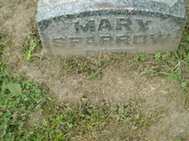 Mary Trainer Sparrow