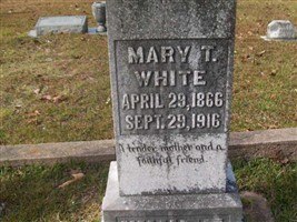Mary Trefenis Aycock Combest Mary Trefenis Aycock Combest