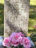Mary Viola Knotts