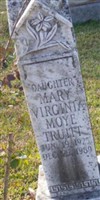 Mary Virginia Moye Truitt