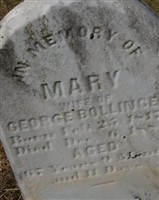Mary W Gibble Bollinger